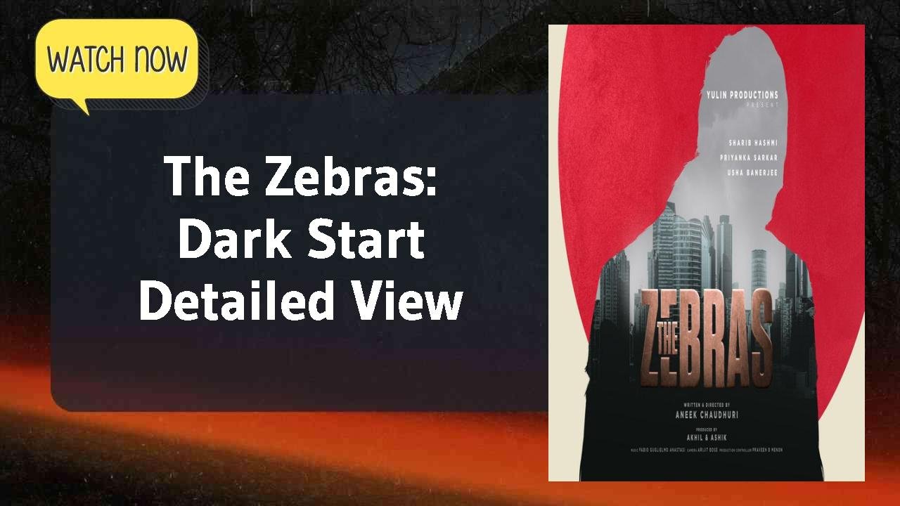 The Zebras: Dark Start